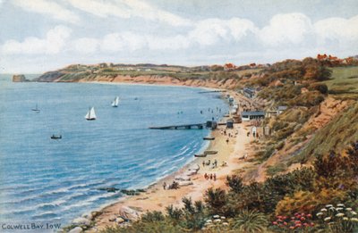 Colwell Bay, Isle of Wight by Alfred Robert Quinton